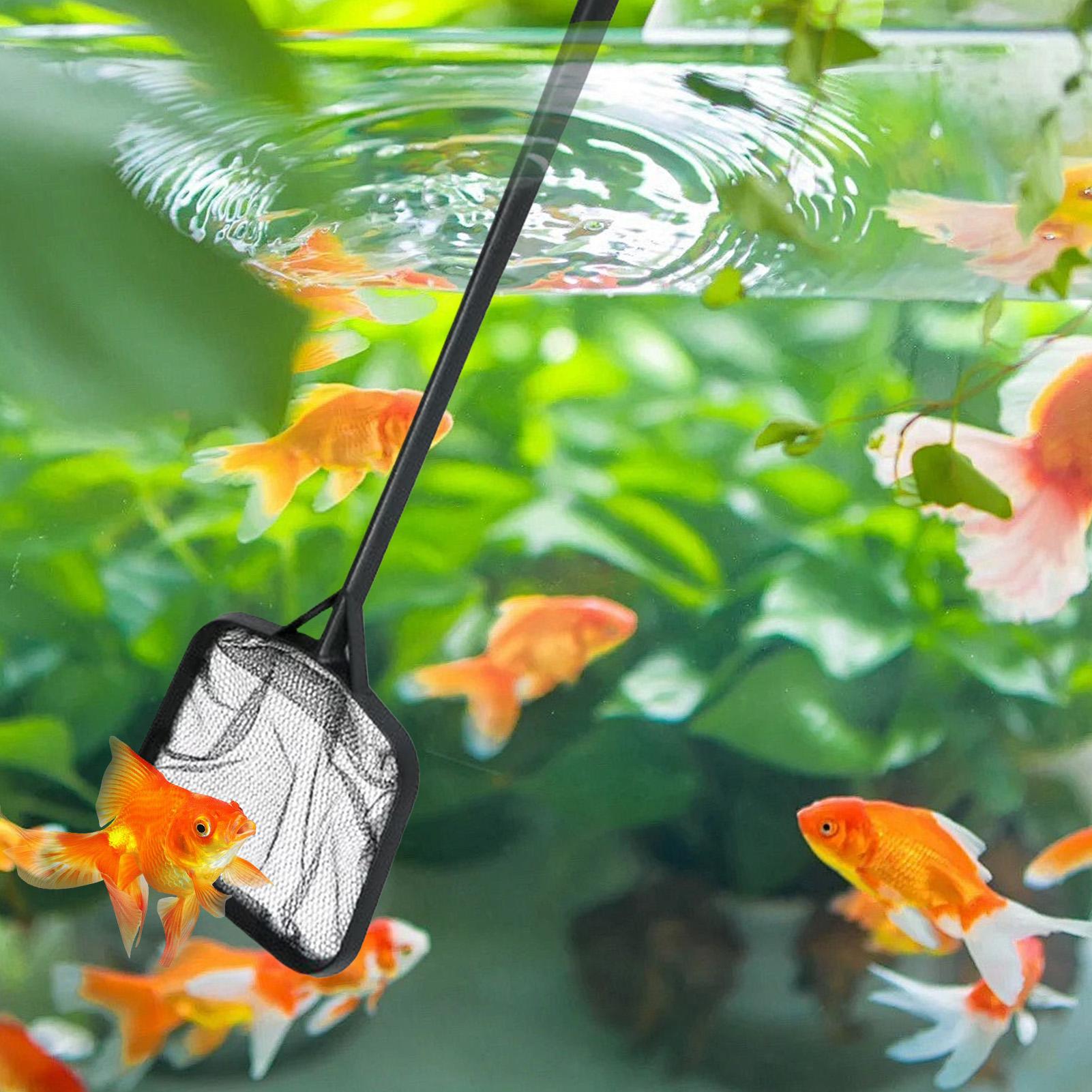 Pool Nets for Cleaning Portabl - Aquarium Fish Accessories recension och pris