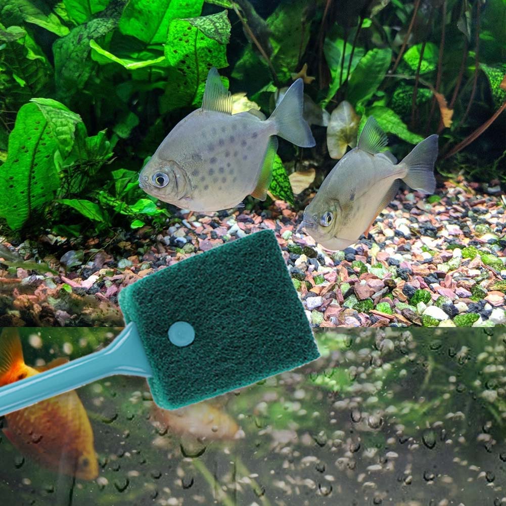 Double-sided Fish Tank Sponge  - Aquarium Fish Accessories recension och pris