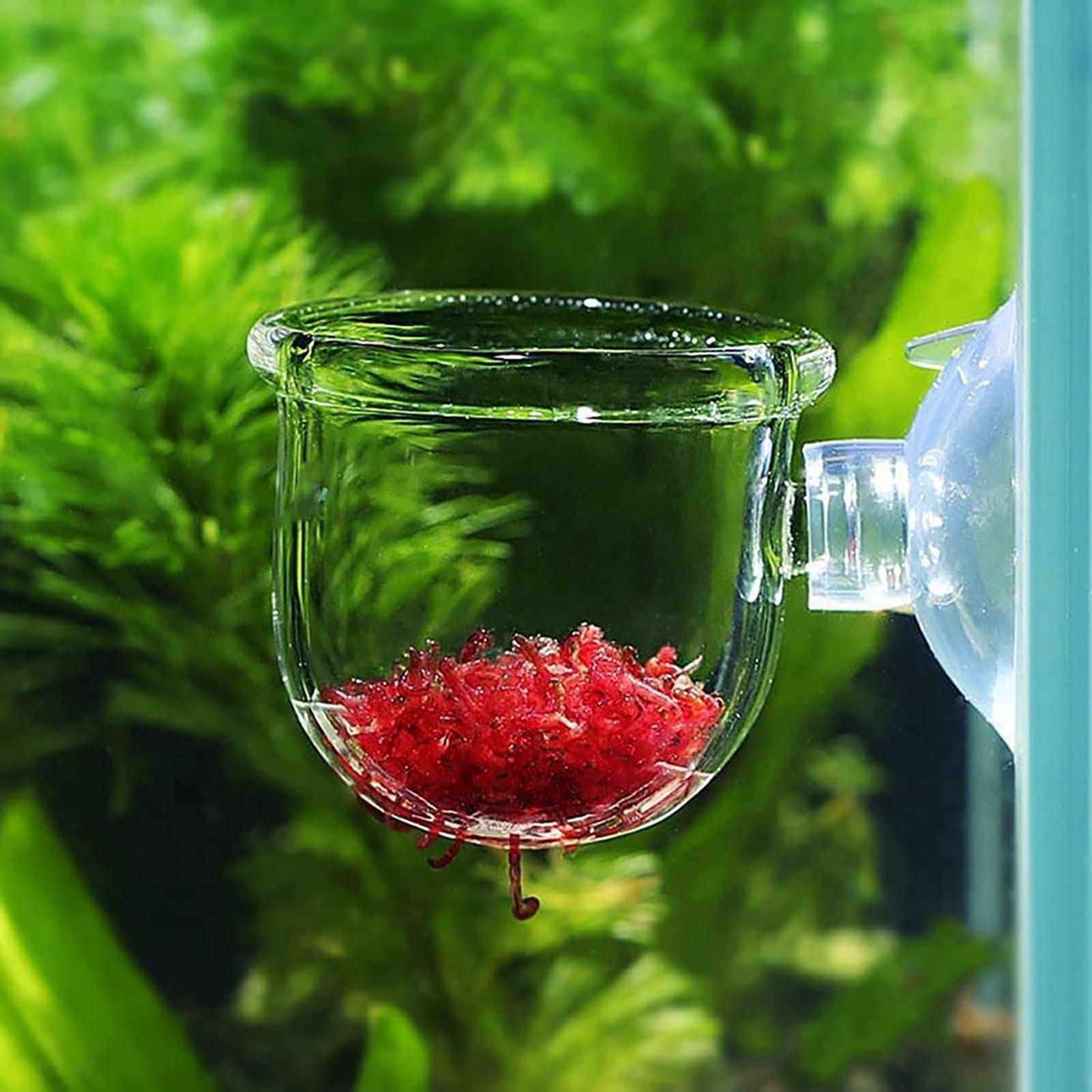 Aquatic Plant Cups Pot with Su - Aquarium Fish Beautiful recension och pris