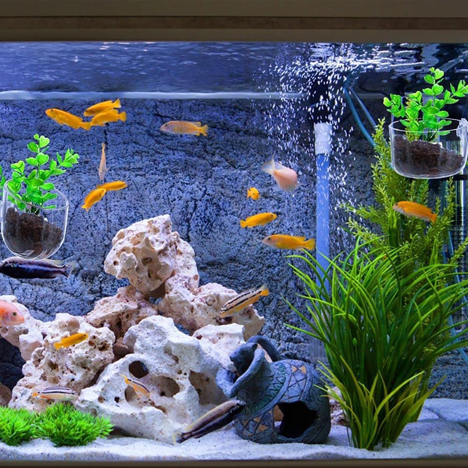Acrylic Aquarium Plant Pots Aq - Aquarium Fish Beautiful recension och pris