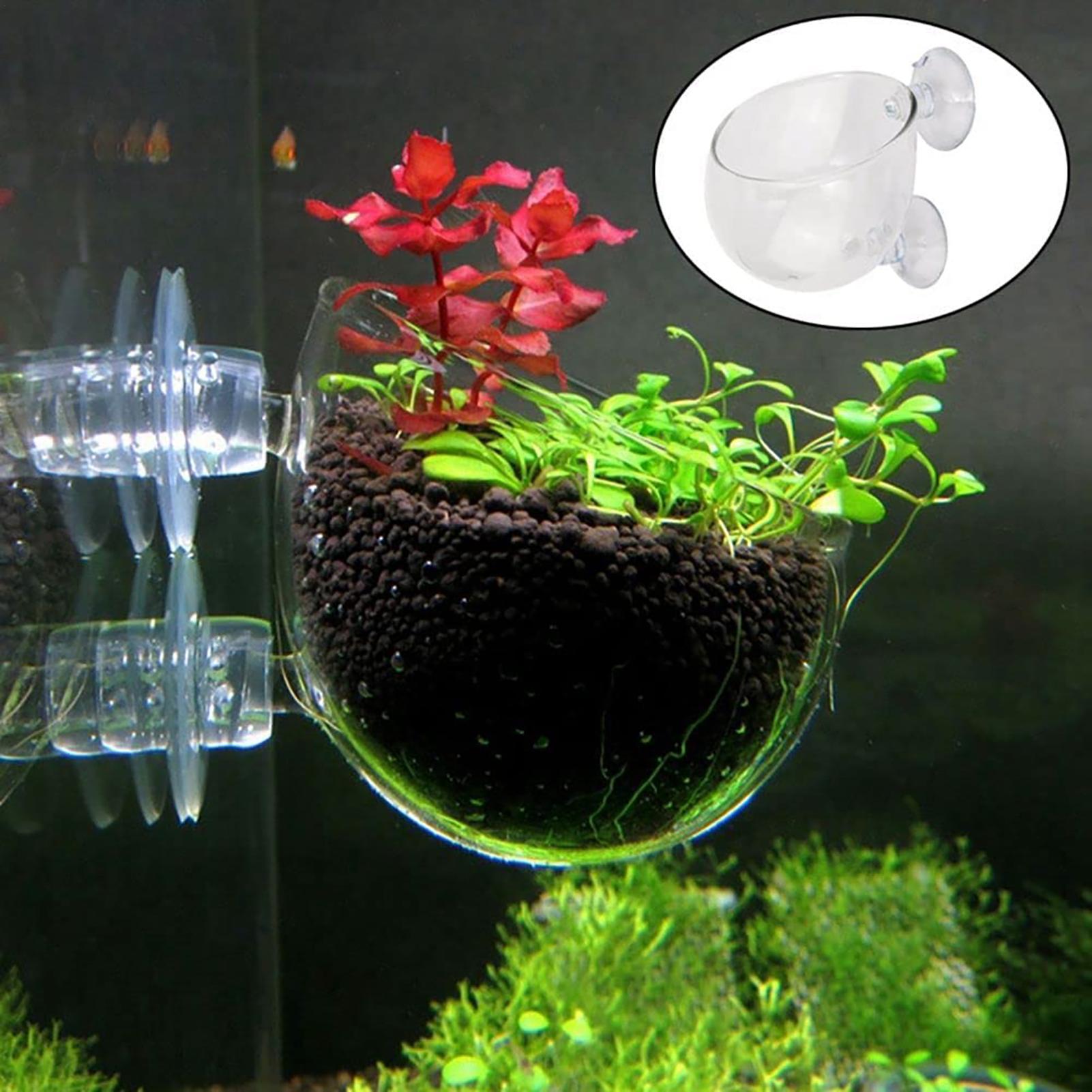 Acrylic Aquarium Plant Pots Aq - Aquarium Fish Beautiful recension och pris