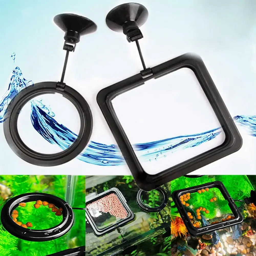 Feed Suction Cup Aquarium Feed - Aquarium Fish Accessories recension och pris