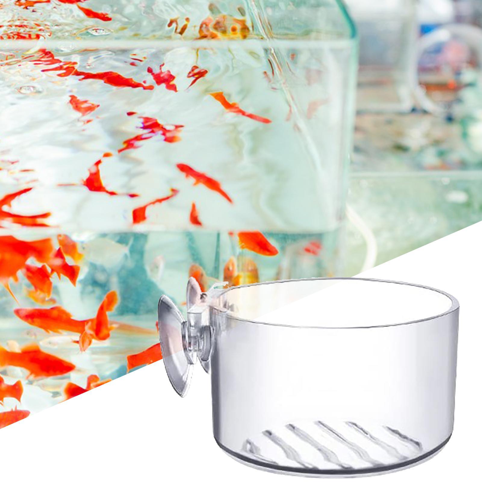 Suction Aquarium Plant Holder  - Aquarium Fish Beautiful recension och pris