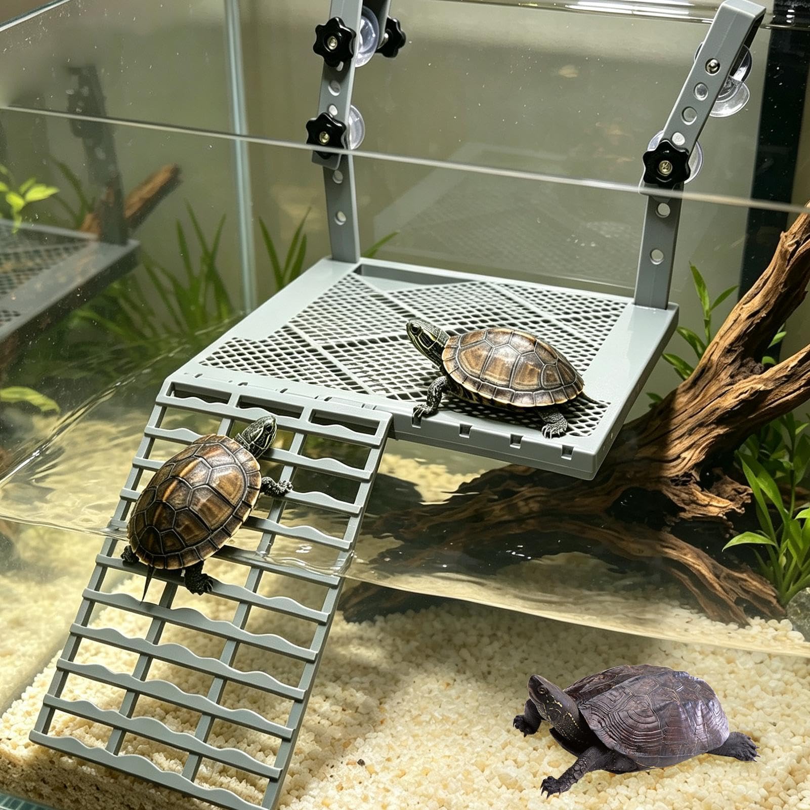 Hanging Turtle Dock Ramp Terra - Aquarium Fish Accessories recension och pris