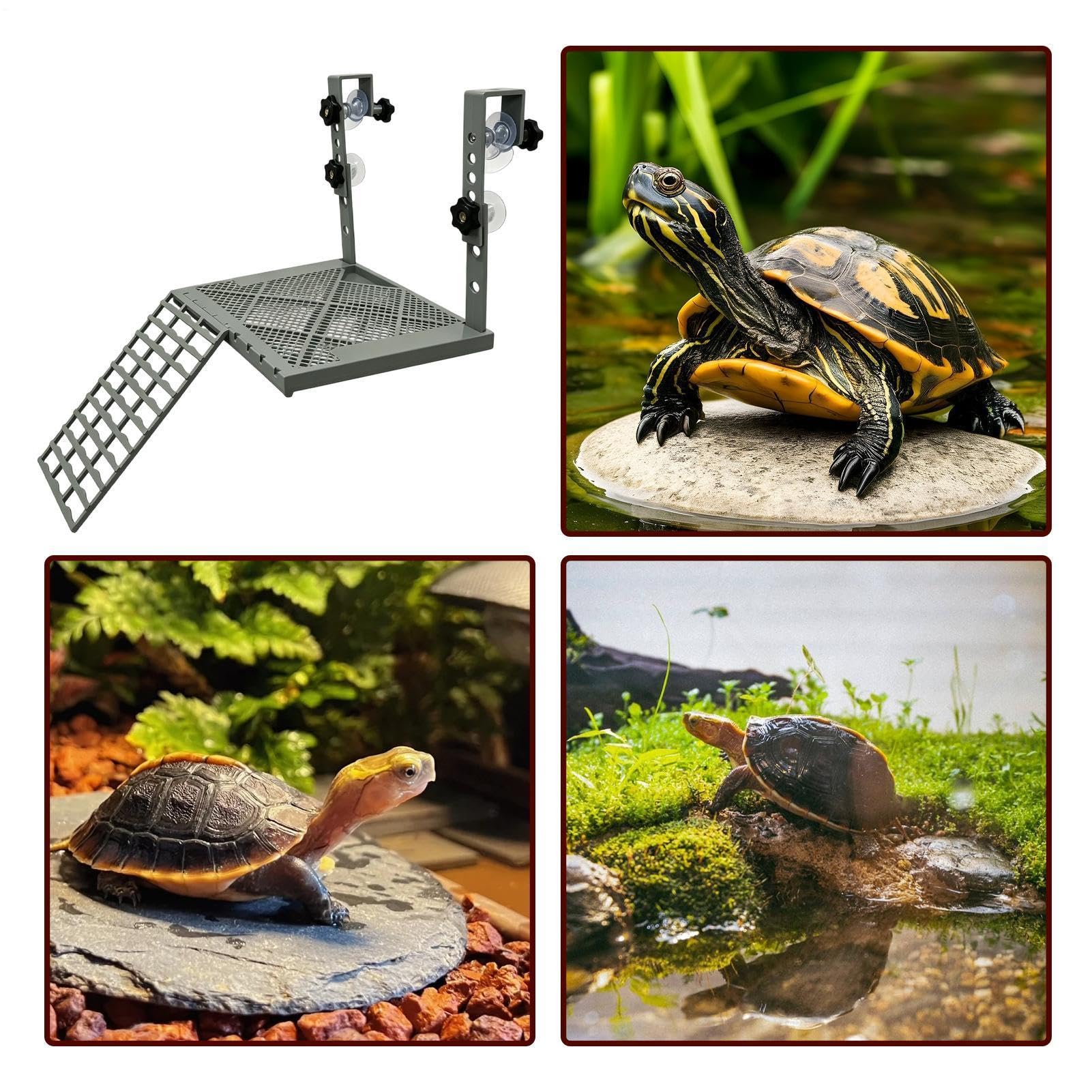 Hanging Turtle Dock Ramp Terra - Aquarium Fish Accessories recension och pris