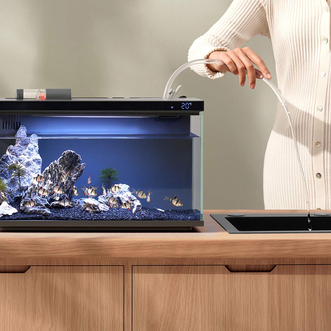Xiaomi Mijia Smart Fish Tank M - Xiaomi Aquarium Fish Tank recension och pris