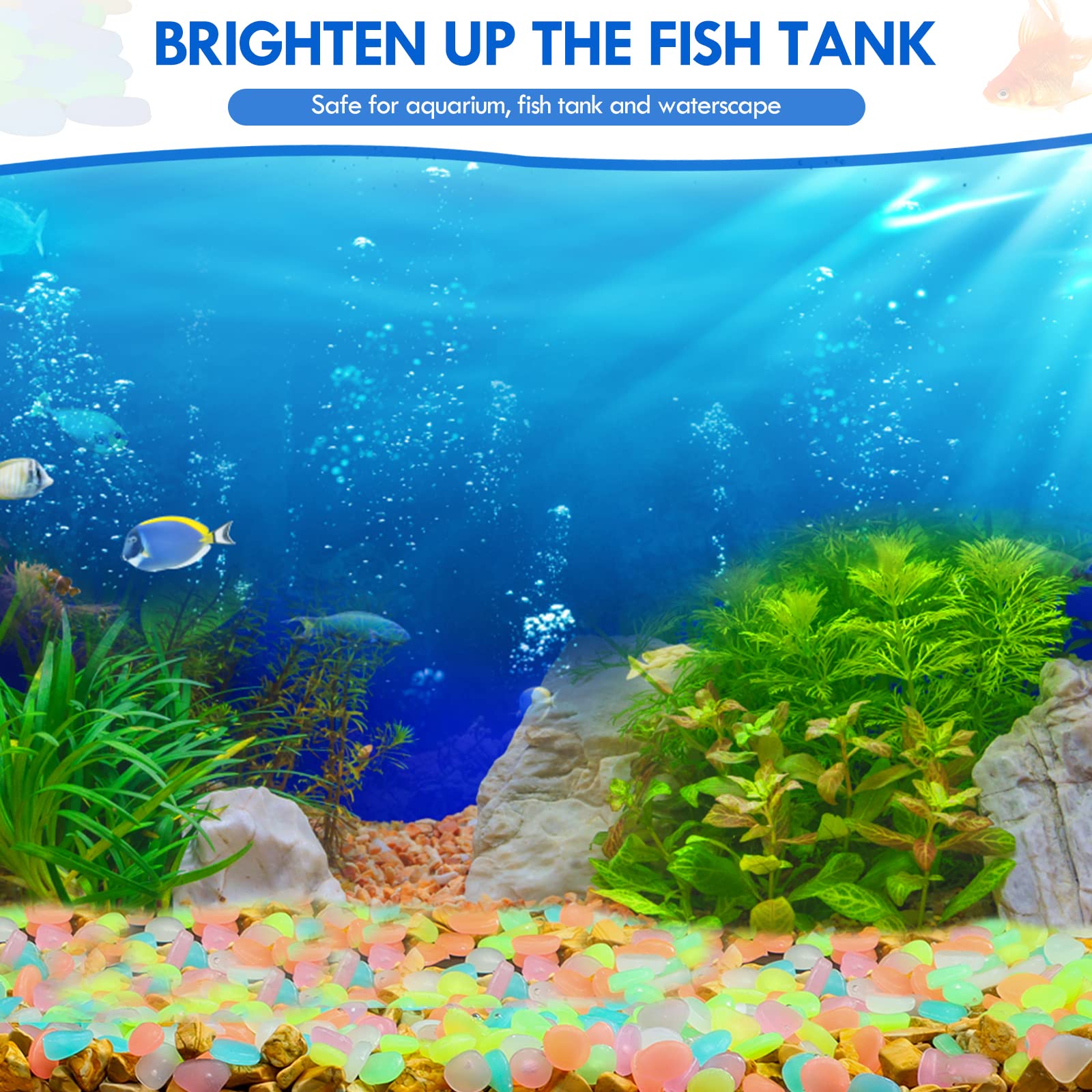 100Pcs Glow in the Dark Garden - Aquarium Fish Breeding recension och pris